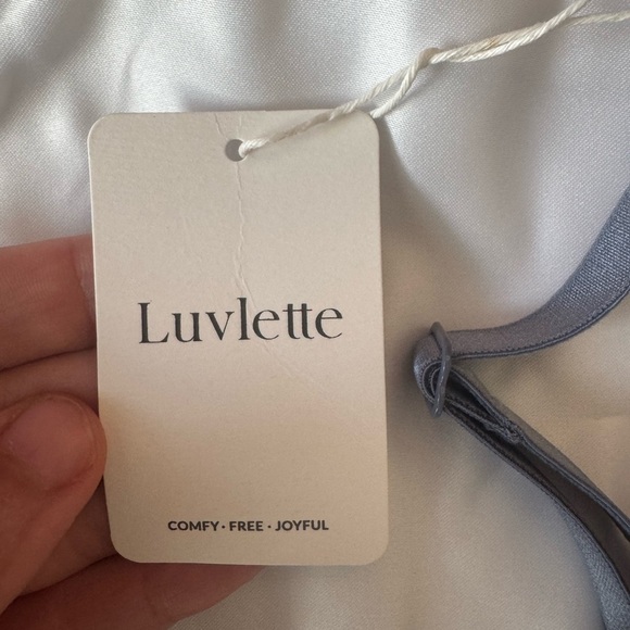 Sheer Gray blue Bra - Picture 3 of 7